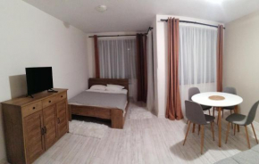 Apartment B45 Borovets Gardans